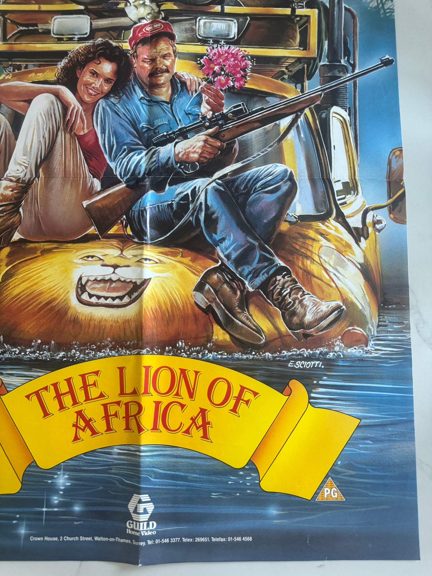 The Lion Of Africa UK Video Poster