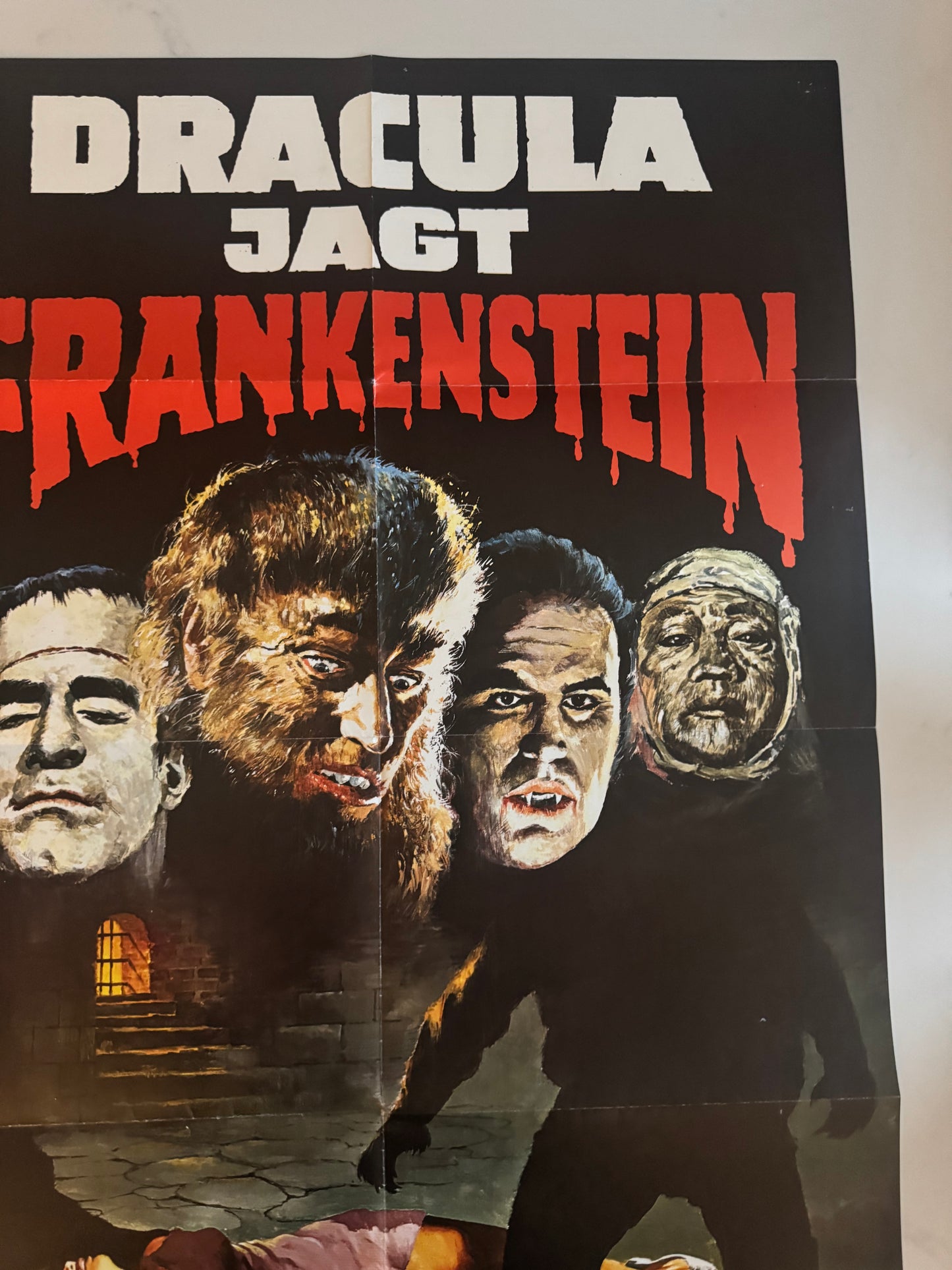 Dracula vs Monsters German Horror A1 video poster