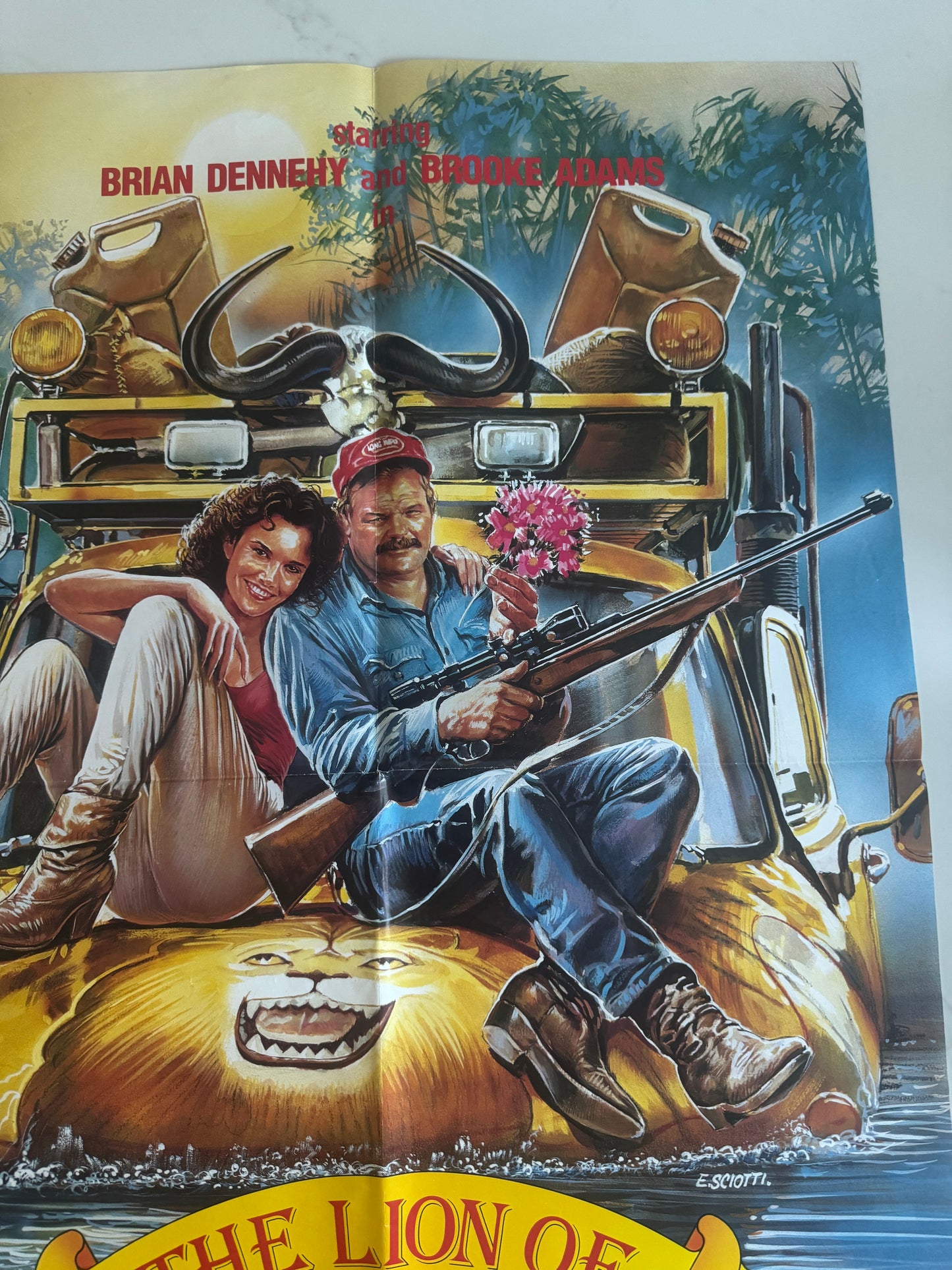 The Lion Of Africa UK Video Poster