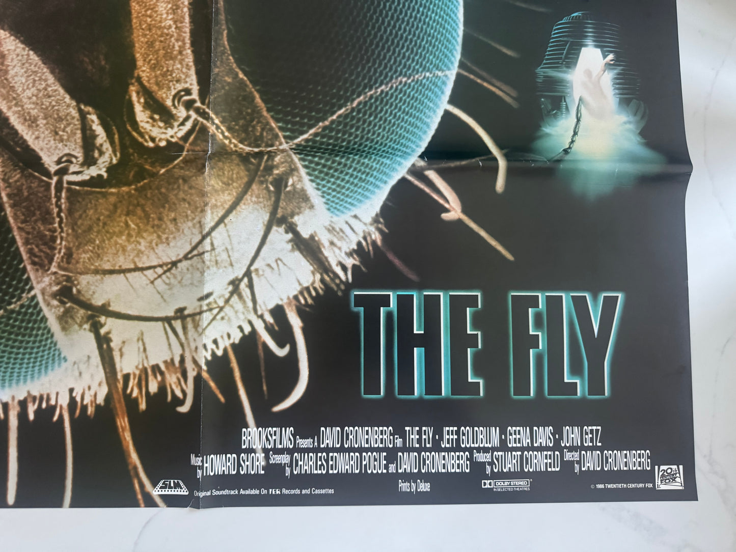 The Fly 1986 UK Video Poster