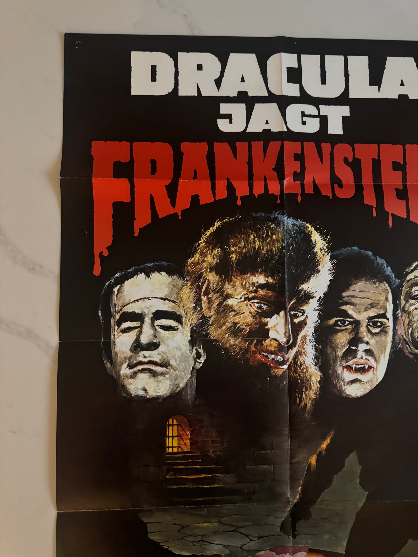 Dracula vs Monsters German Horror A1 video poster