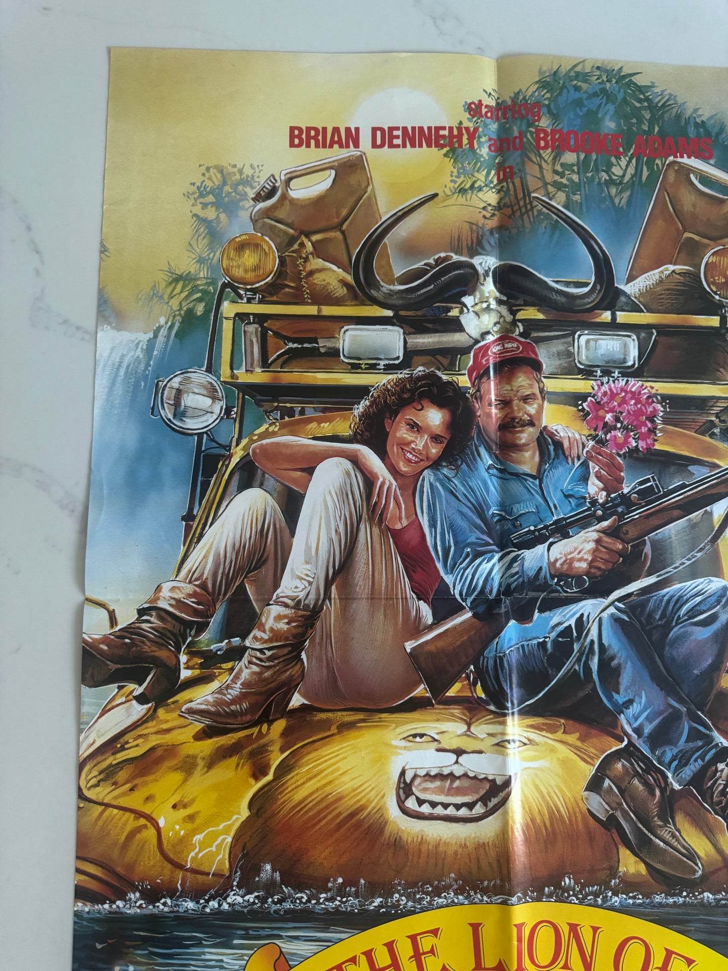 The Lion Of Africa UK Video Poster