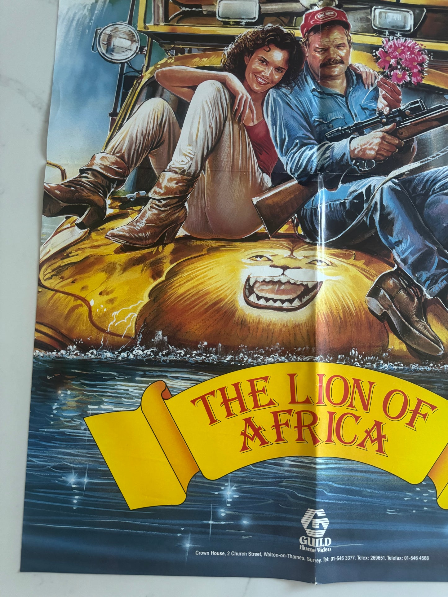 The Lion Of Africa UK Video Poster